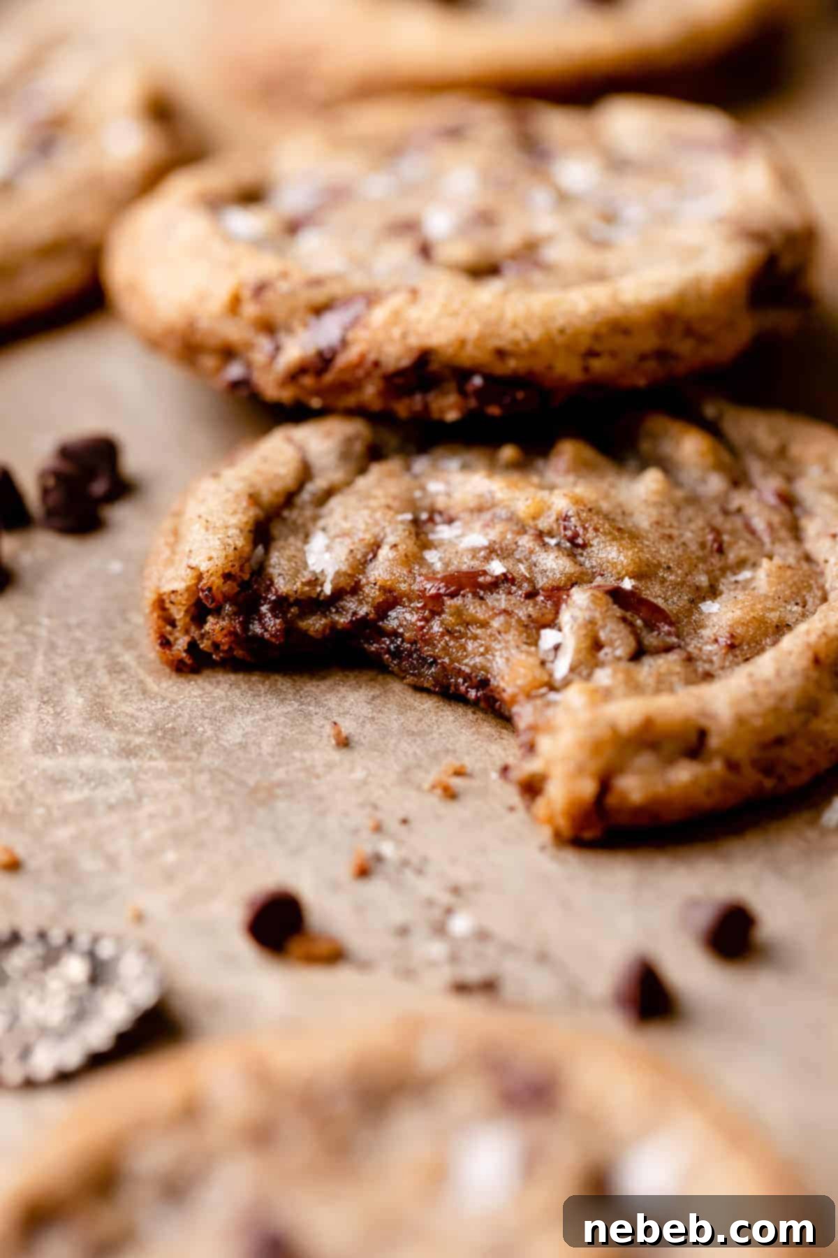 Coffee Kissed Chocolate Chip Cookies 6 A close-up of a coffee cookie topped with chocolate chips, with a bite taken out to reveal its chewy, rich interior.