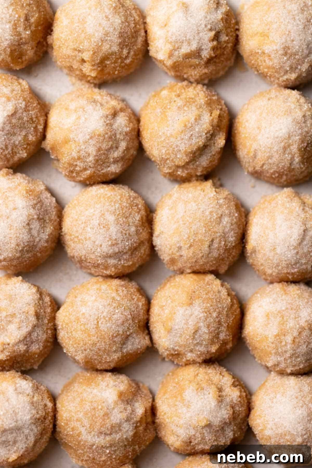 Cookie dough balls rolled in sugar on a baking tray.