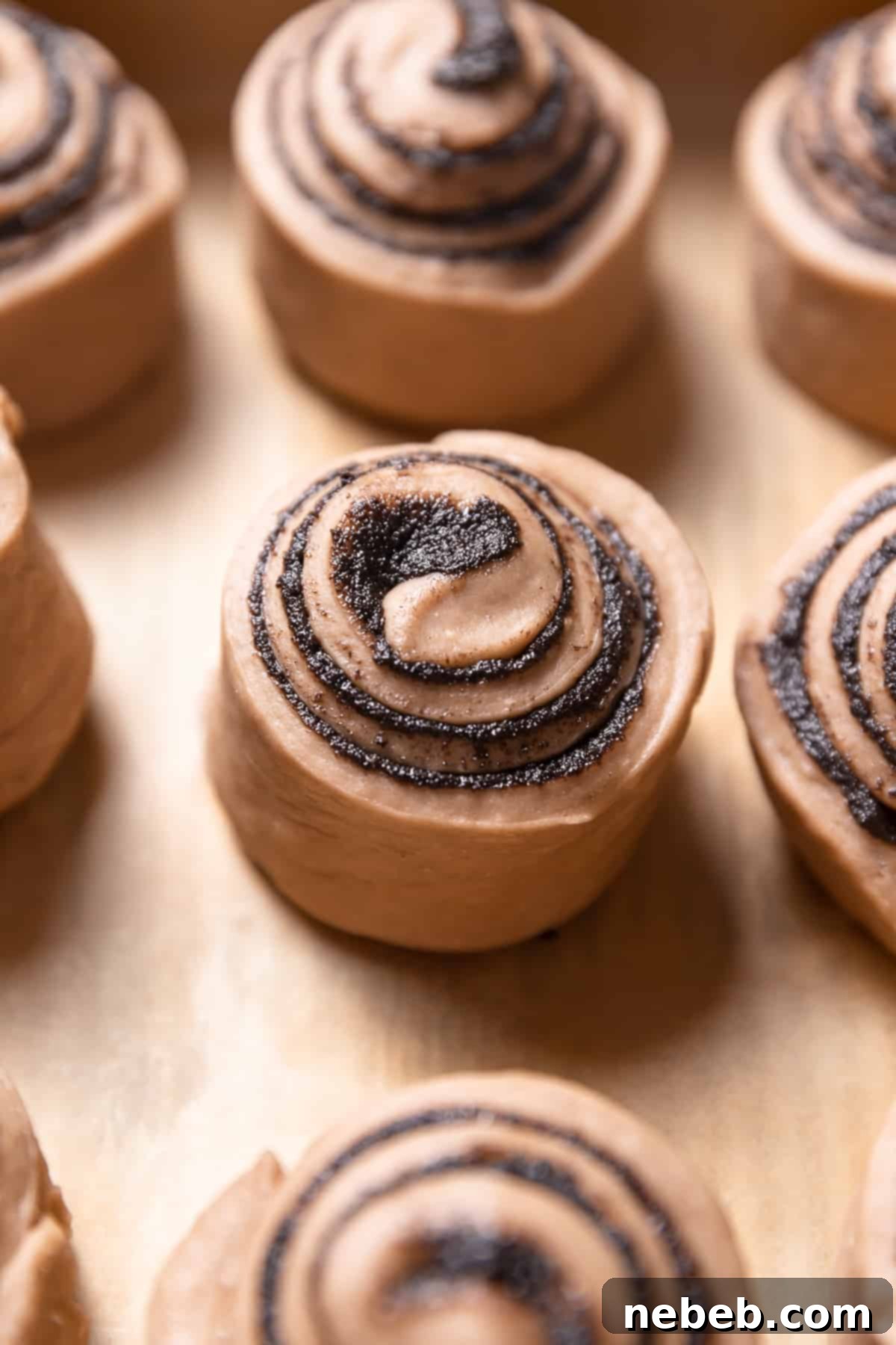 Cinnamon rolls arranged in a baking pan before their final rise, showing their perfect spirals.