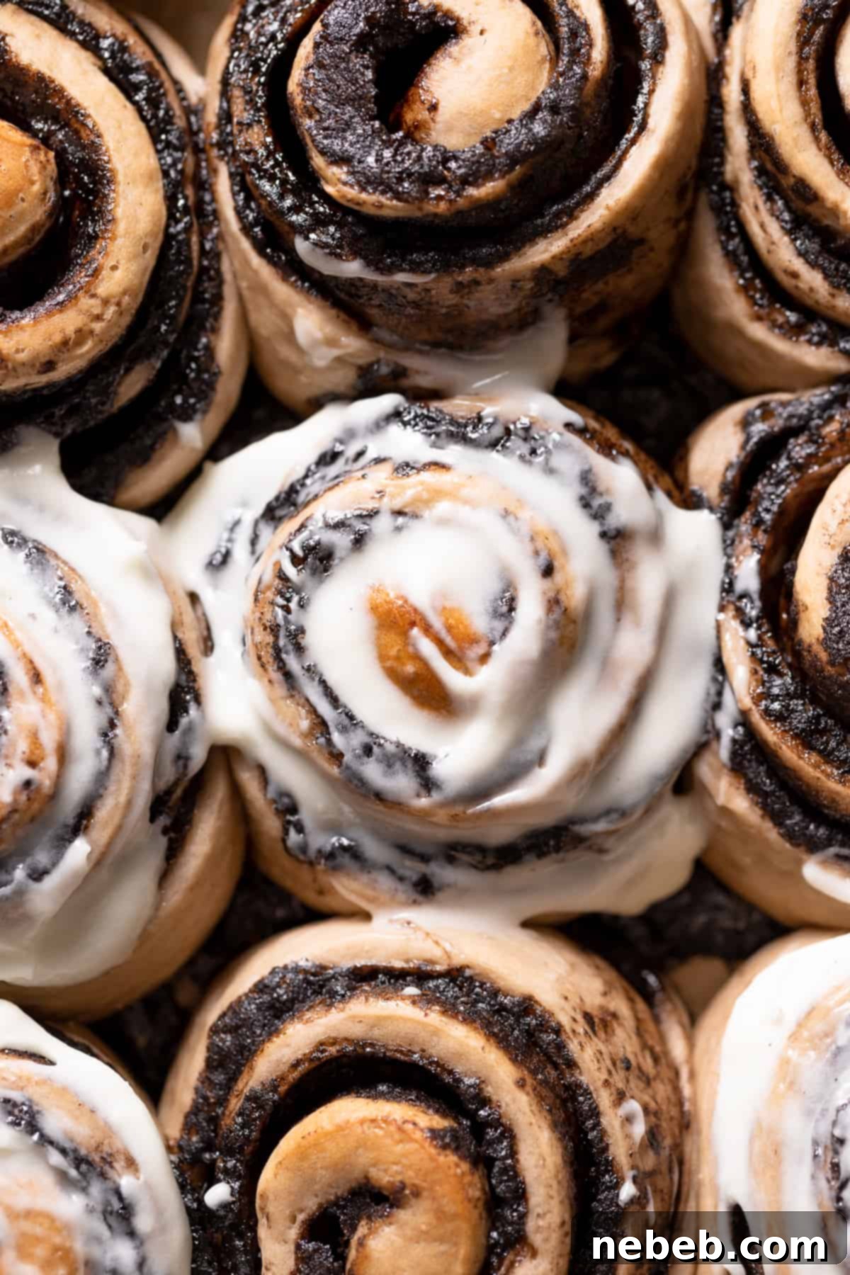 The golden brown tops of the baked cinnamon rolls, fresh out of the oven.