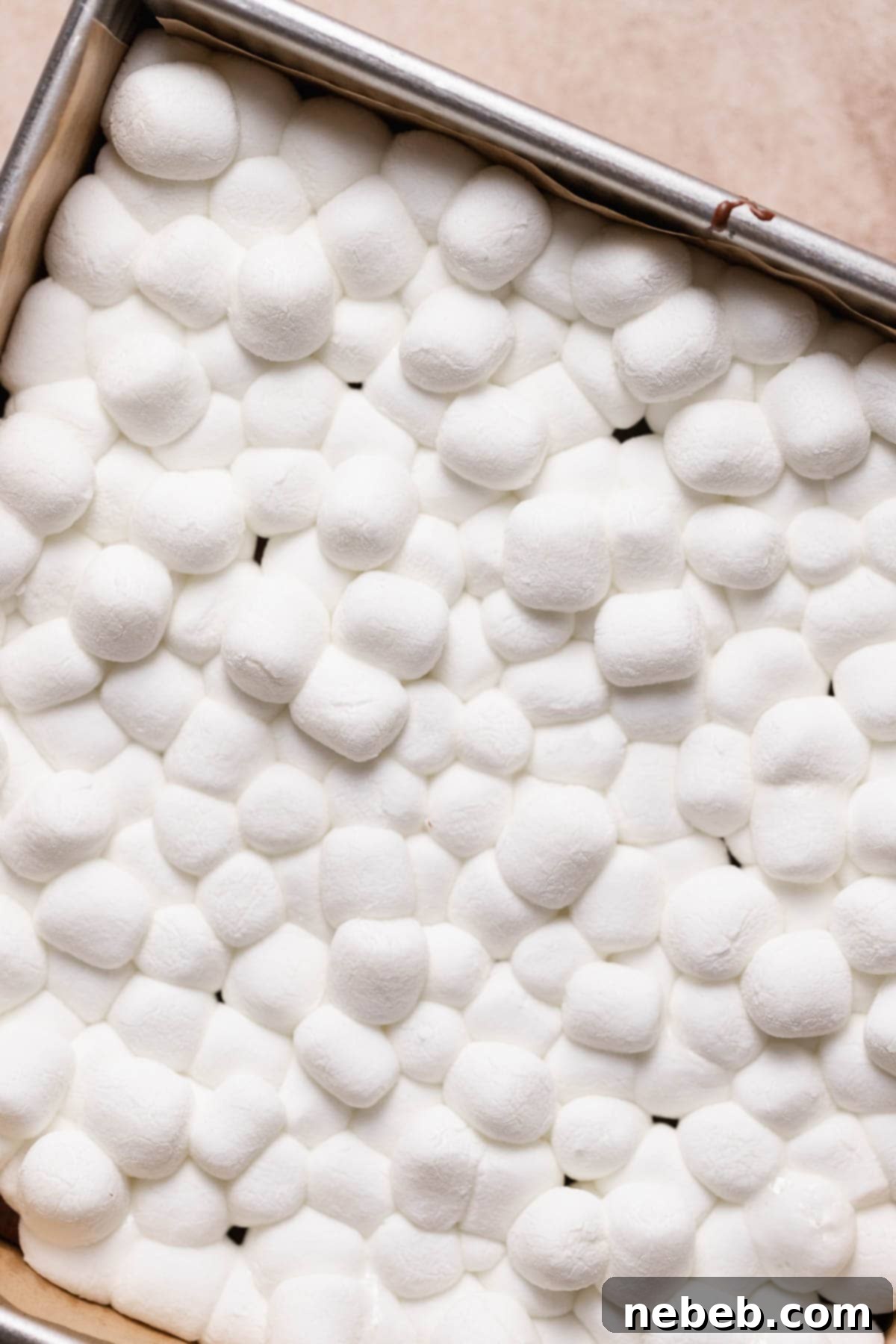 An up close shot of the puffy mini marshmallows on top of the brownie layer.