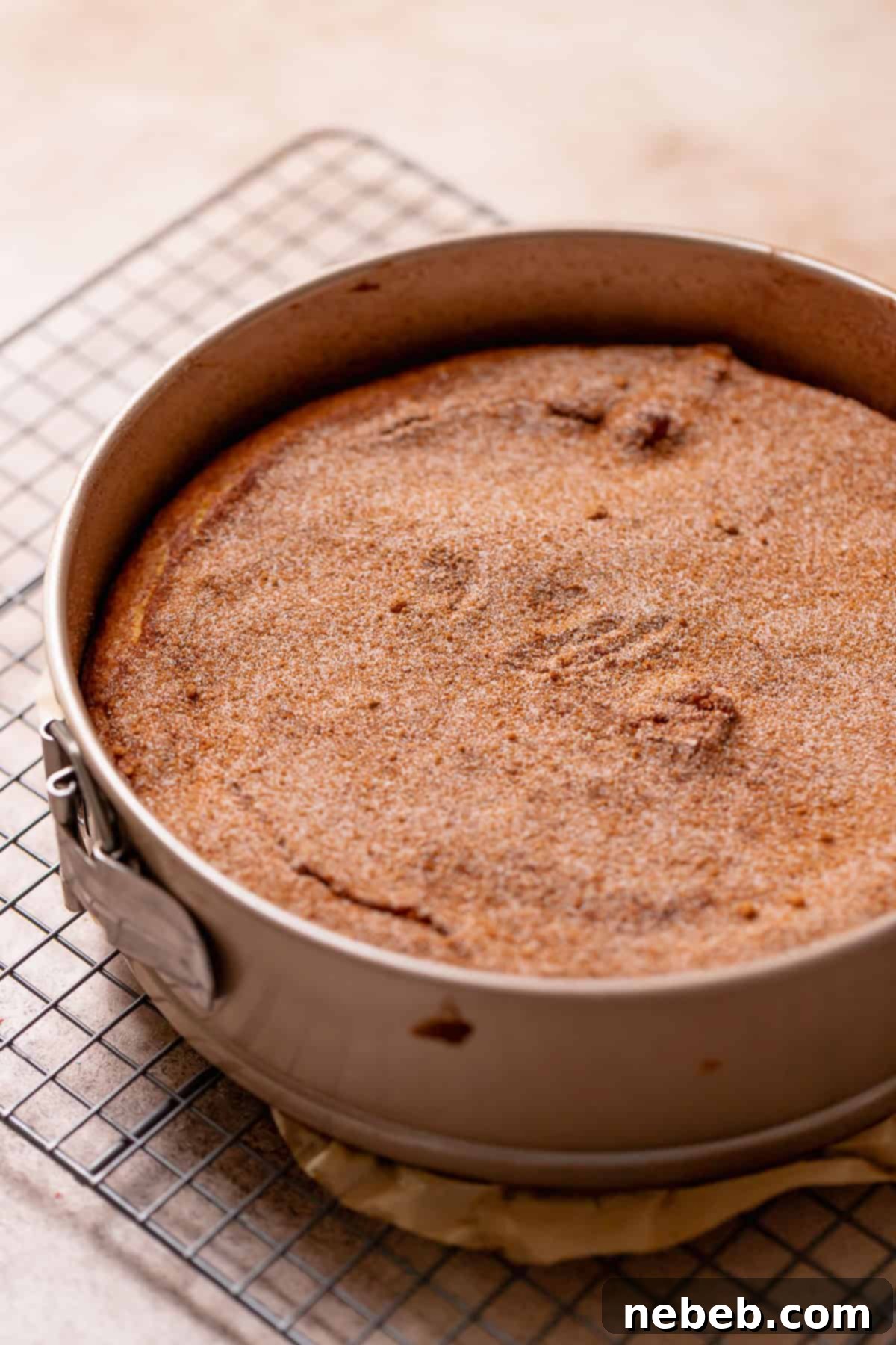 The cinnamon swirl coffee cake in a baking pan cooling on a wire rack after baking.