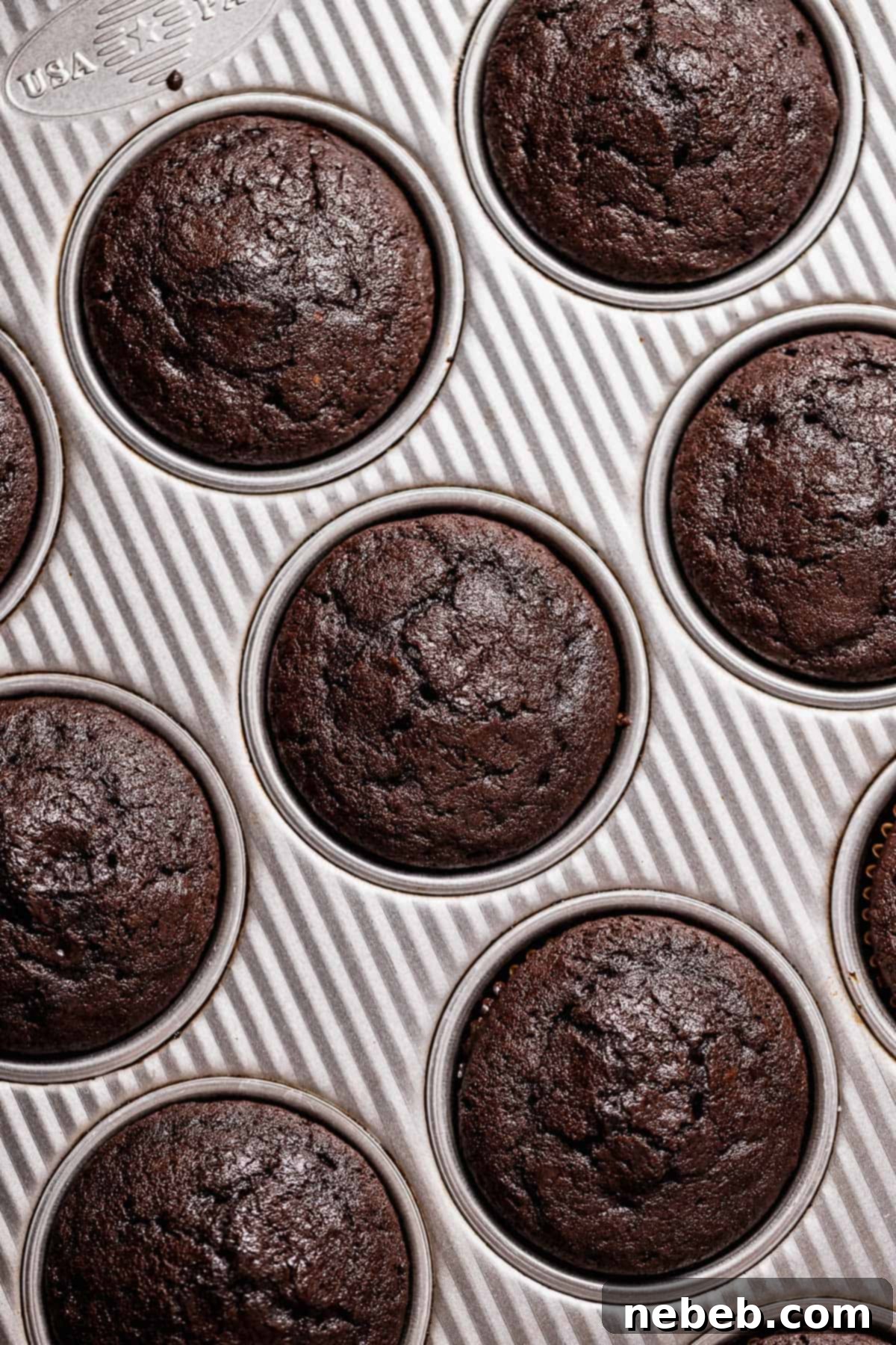 Golden Marshmallow-Stuffed Cocoa Cupcakes 5 Freshly baked chocolate cupcakes resting in a baking pan, golden-brown and ready to be cooled.