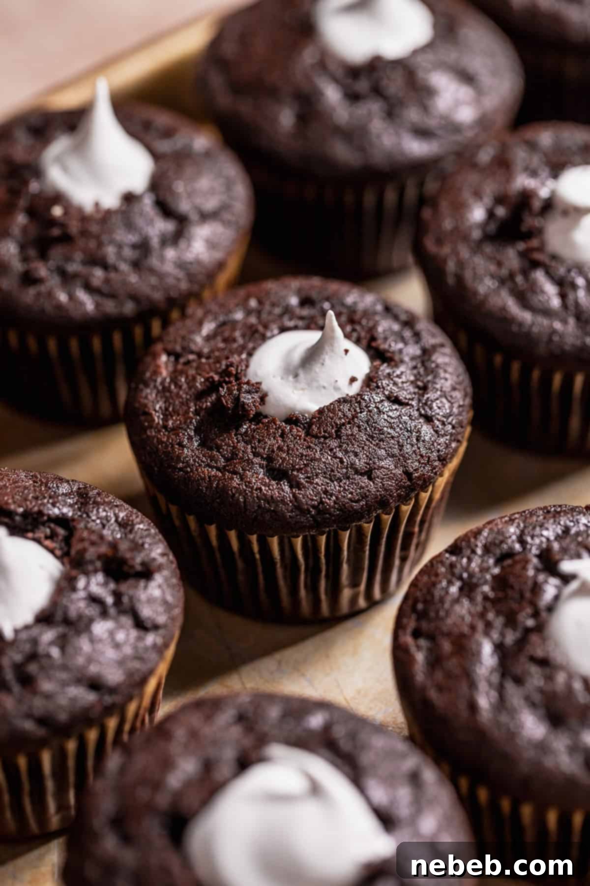 Golden Marshmallow-Stuffed Cocoa Cupcakes 8 Cored chocolate cupcakes filled with fluffy marshmallow filling, arranged neatly on a baking sheet, ready for frosting.
