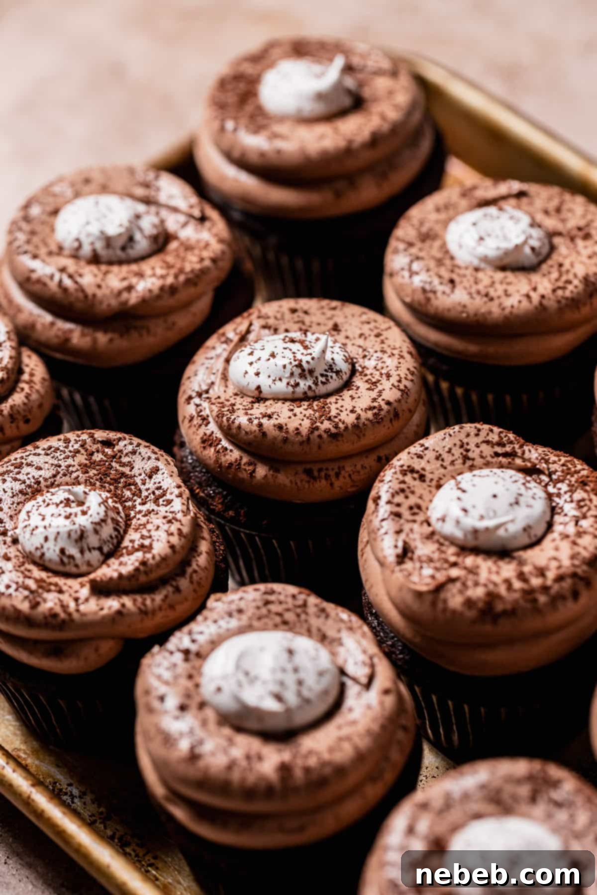 Golden Marshmallow-Stuffed Cocoa Cupcakes 10 Finished hot chocolate cupcakes, lightly dusted with cocoa powder and topped with beautifully toasted marshmallows, presented on a baking tray.