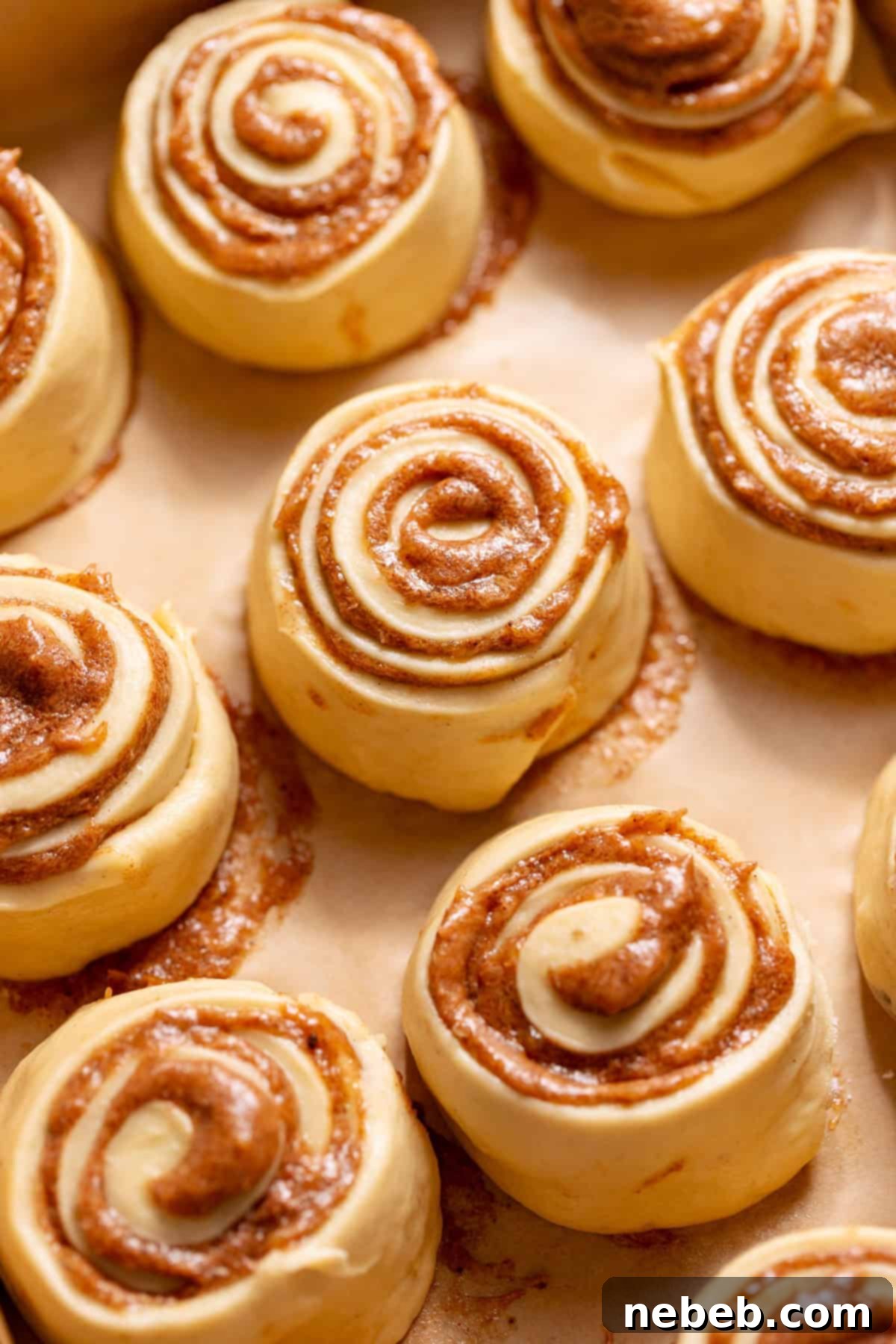 Banana Bread Cinnamon Rolls 7 Unbaked cinnamon rolls arranged in a baking pan before proofing.