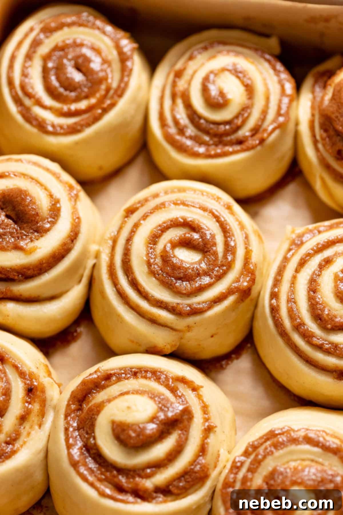 Banana Bread Cinnamon Rolls 8 Proofed cinnamon rolls risen and ready to bake.